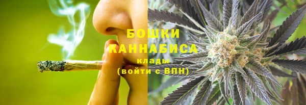 ГАЛЛЮЦИНОГЕННЫЕ ГРИБЫ Баксан