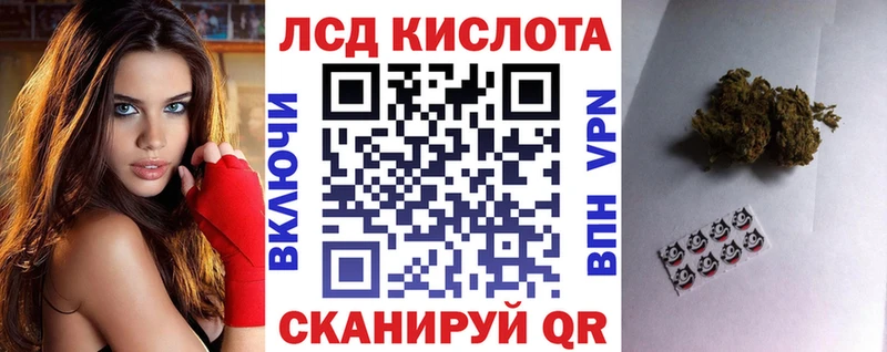 Марки N-bome 1500мкг  где можно купить   Химки 